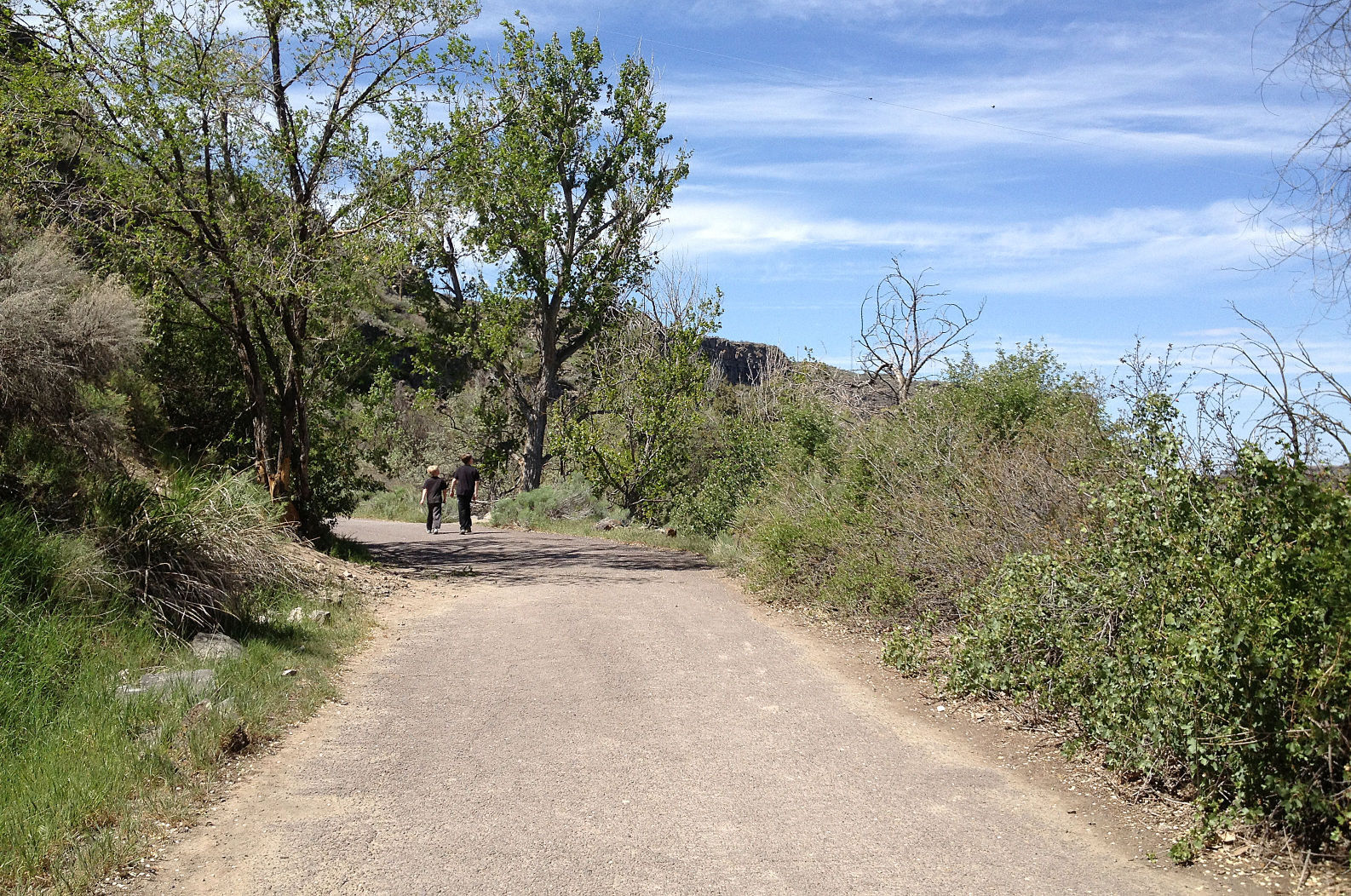 Urban Trail: Centennial Trail